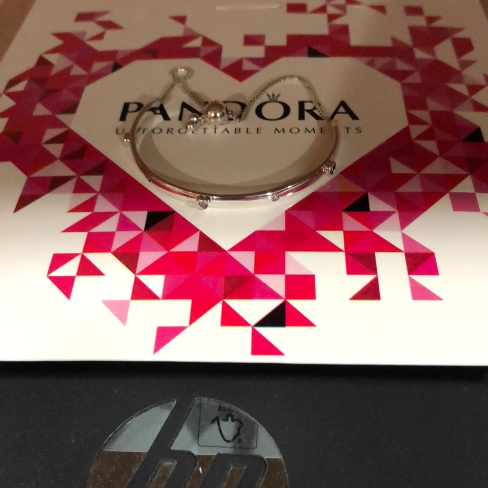 Pandora Explosion of Love Bracelet